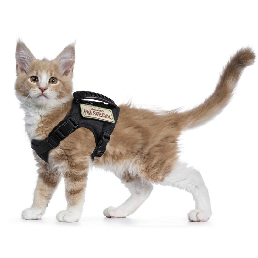 Soft Mesh Large Cat Harness for Walking Escape Proof