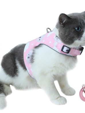 Ultra Light Adjustable Cat Reflective Strap Walking Jacket