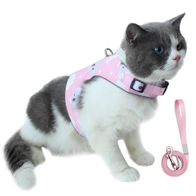 Ultra Light Adjustable Cat Reflective Strap Walking Jacket