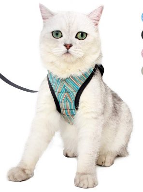 Ultra Light Escape Proof Kitten Collar Cat