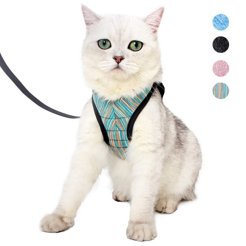 Ultra Light Escape Proof Kitten Collar Cat