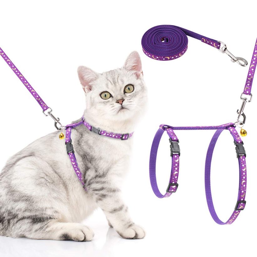 Cat Harness and Leash Set Glow in The Dark