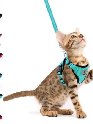 Cat Harness and Leash - Escape Proof Reflective Pet Vest