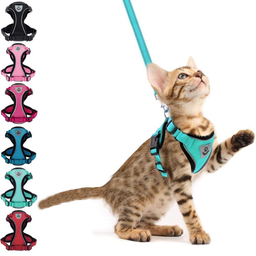 Cat Harness and Leash - Escape Proof Reflective Pet Vest