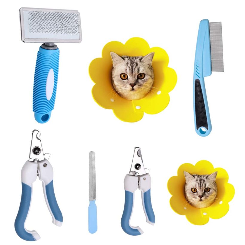 Bumiews Kitty Kitten Small Cat Grooming Kit