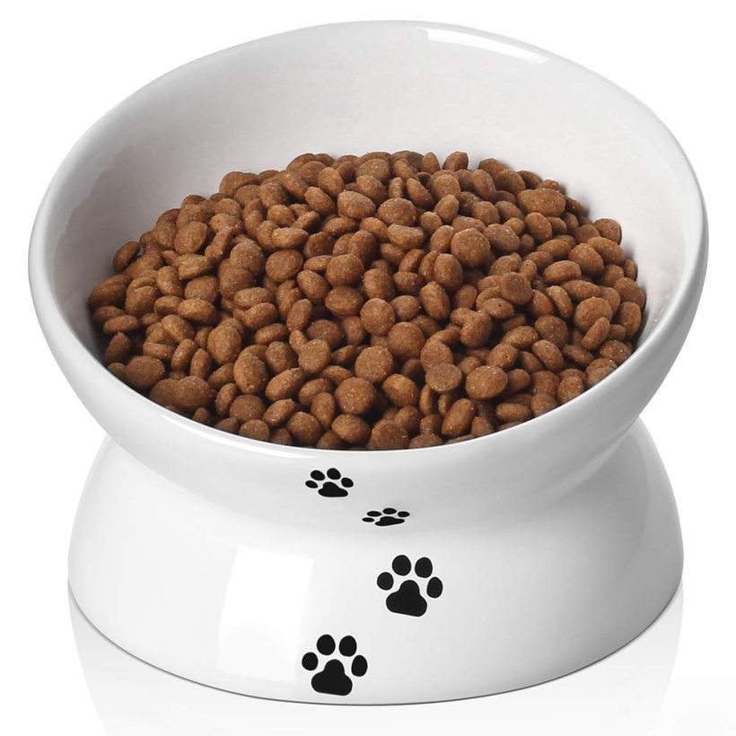 Raised Cat Food Bowls Anti Vomiting