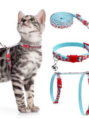 Adjustable Cat Harness with Leash Set Fruit Pattern
