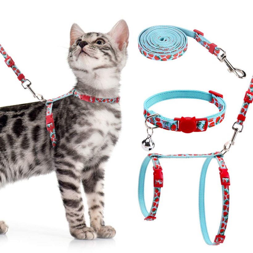 Adjustable Cat Harness with Leash Set Fruit Pattern