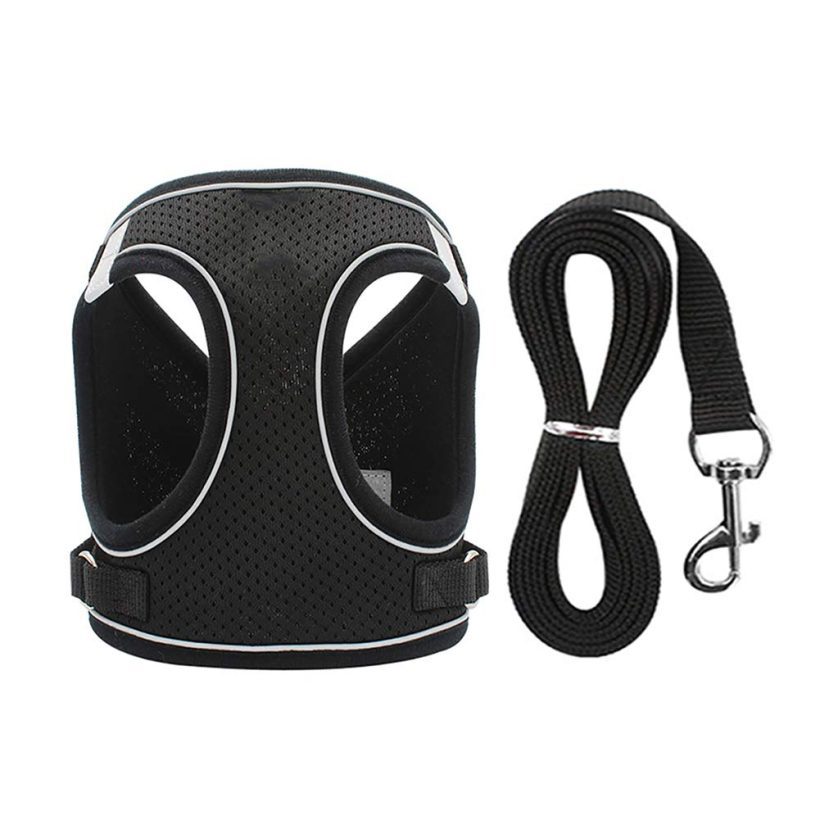 Cat Harness and Leash Set for Walking