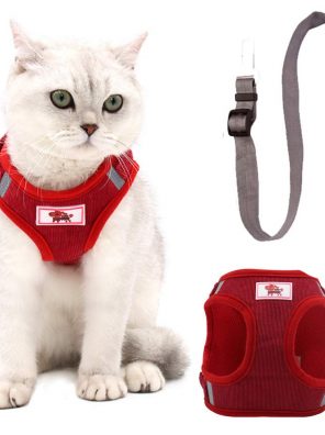 Cat Harness and Leash for Walking, Plush Dog Harness