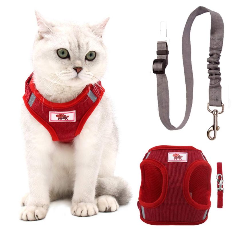 Cat Harness and Leash for Walking, Plush Dog Harness