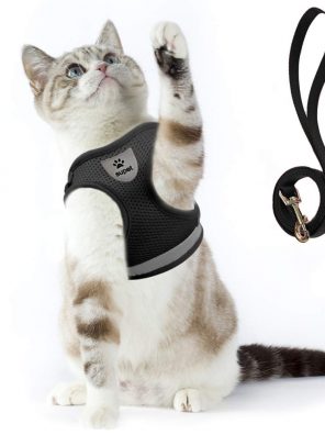 Cat Harness and Leash Set for Walking Soft Mesh