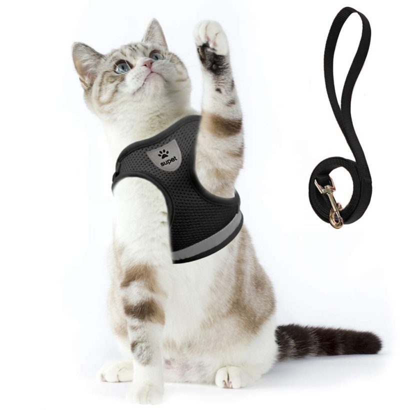 Cat Harness and Leash Set for Walking Soft Mesh