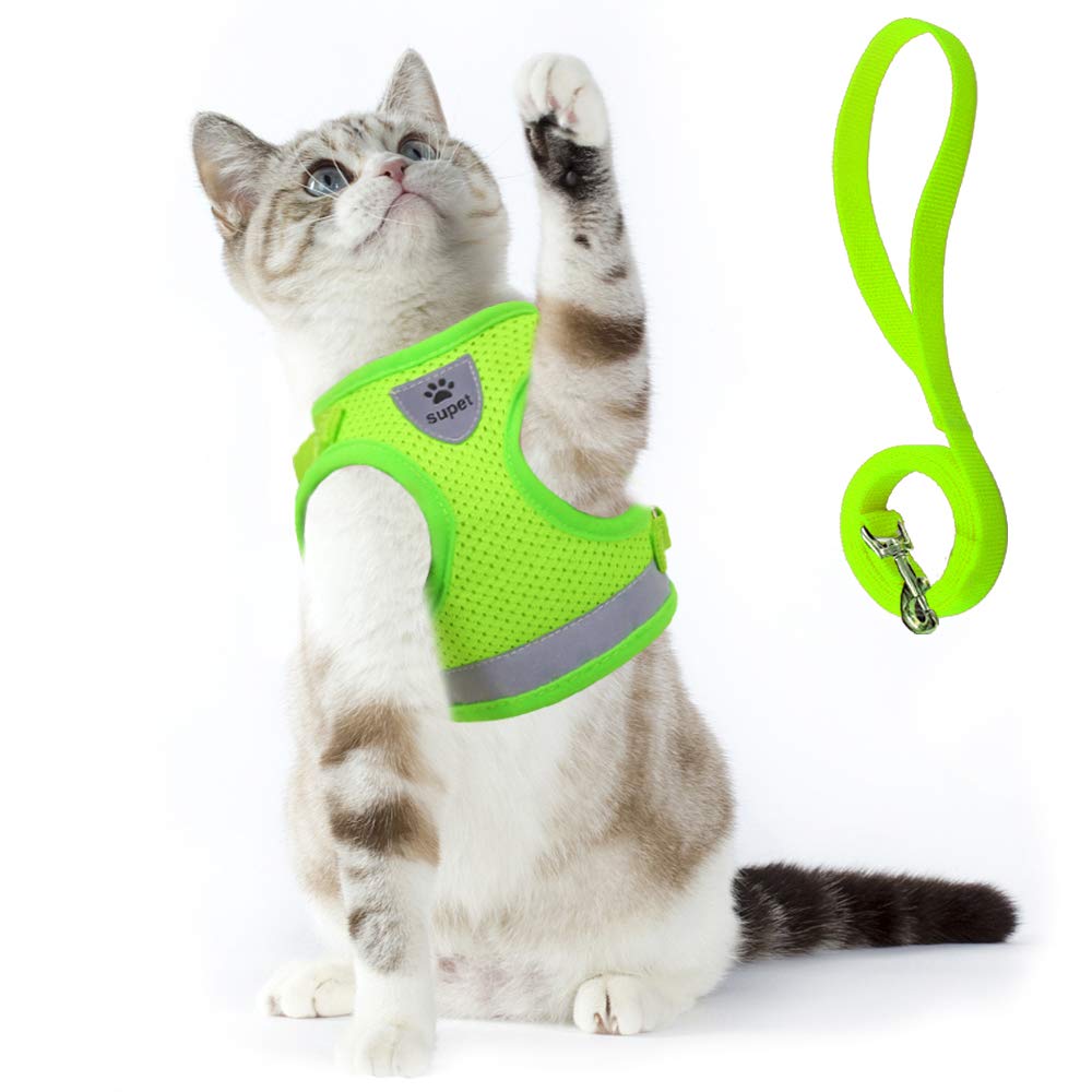 Cat Adjustable Harness and Leash Set for Walking
