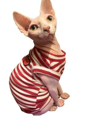 HOFUNMO Hairless Cat Cotton Clothes