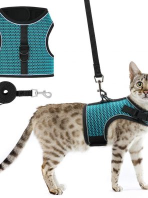 Cat Harness and Leash for Small Medium Large Cats