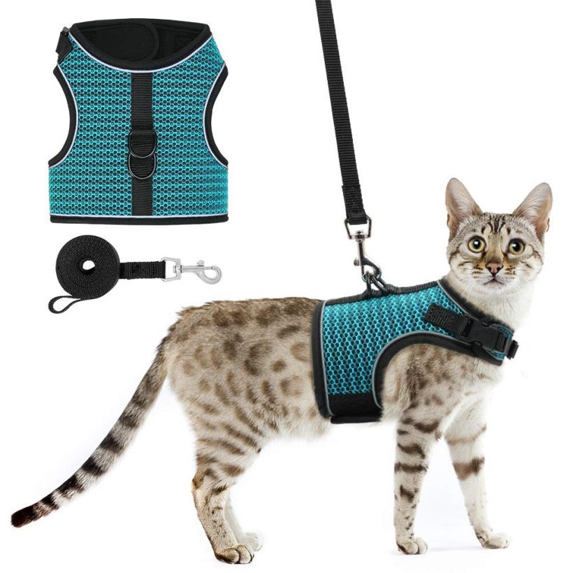 Cat Harness and Leash for Small Medium Large Cats