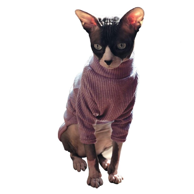 Hairless Cats Vest Turtleneck Sweater