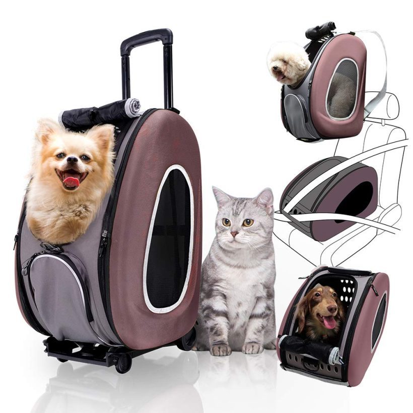 Cats Carriers on Wheels Backpack