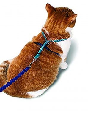 PetSafe Come With Me Kitty Glitter Harness