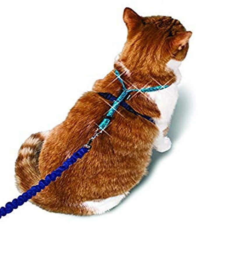 PetSafe Come With Me Kitty Glitter Harness