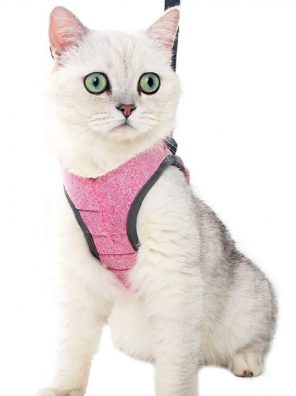 Cat Harness and Leash Set for Walking Escape Proof