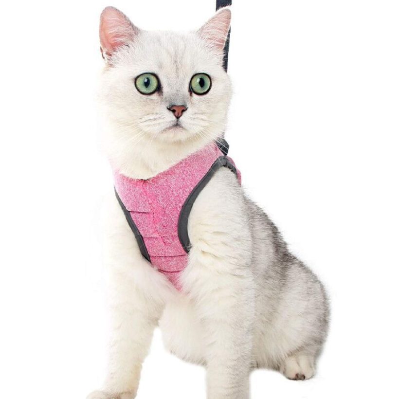 Cat Harness and Leash Set for Walking Escape Proof