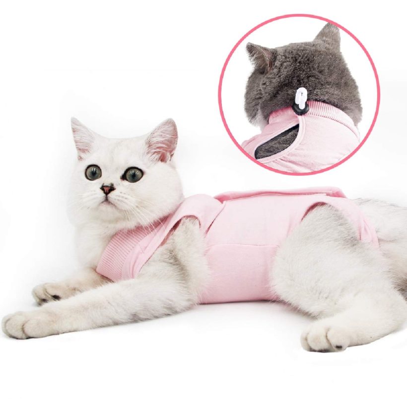 oUUoNNo Cat Wound Surgery Recovery Suit