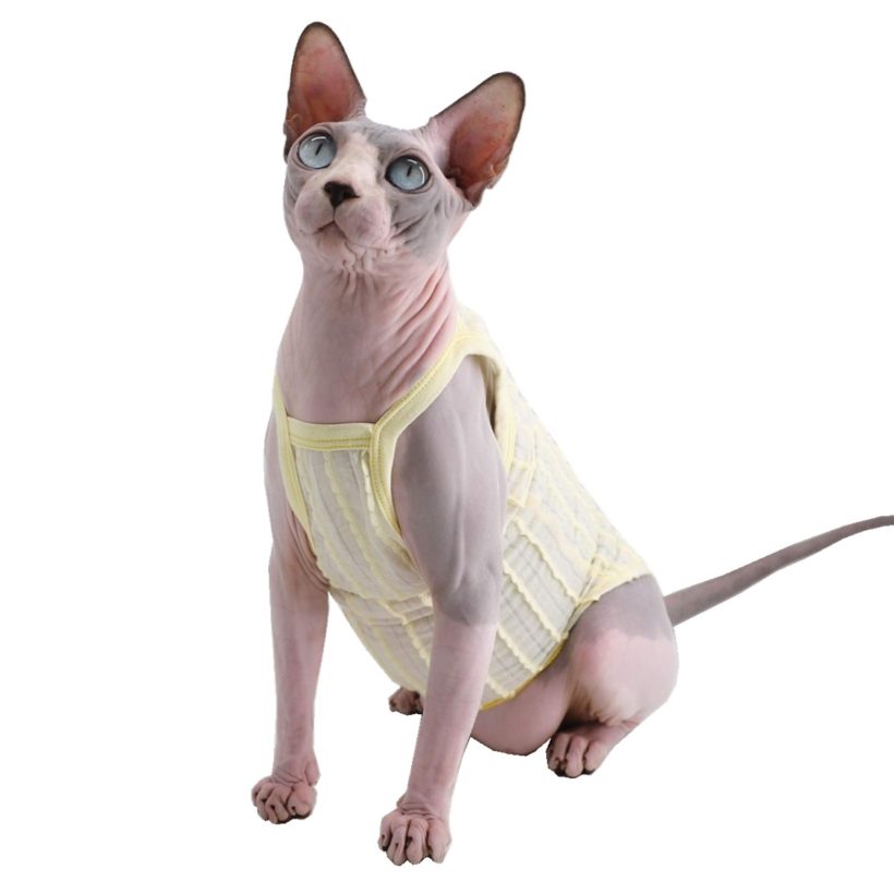 Kitipcoo Candy Color Sphynx Cat Vest Pet Clothes