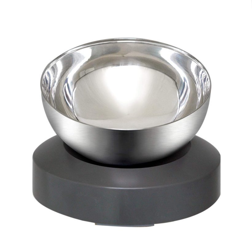 Raised Tilted Cat Food Bowl Anti Vomiting Elevated with Stand