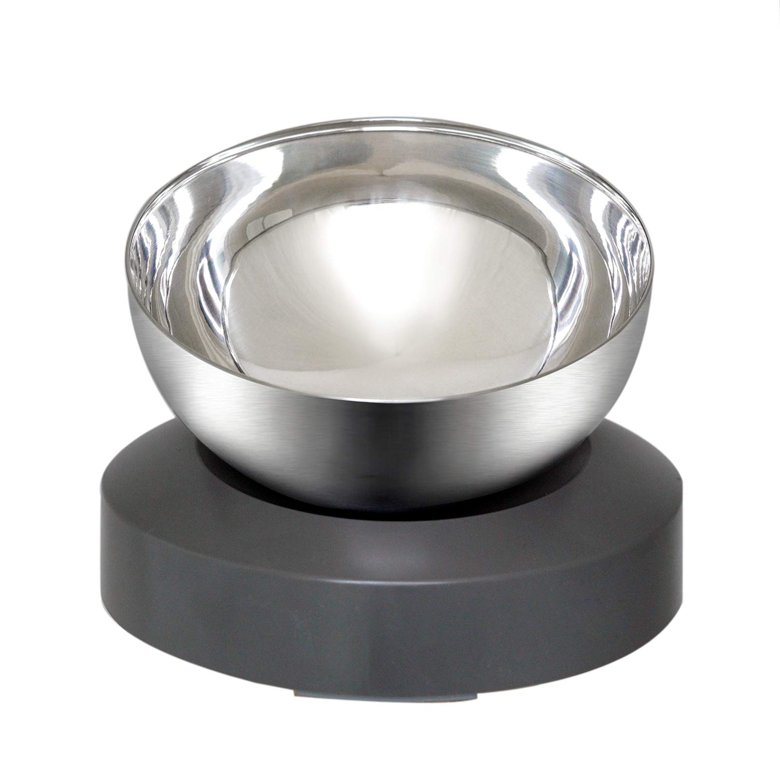 Raised Tilted Cat Food Bowl Anti Vomiting Elevated with Stand