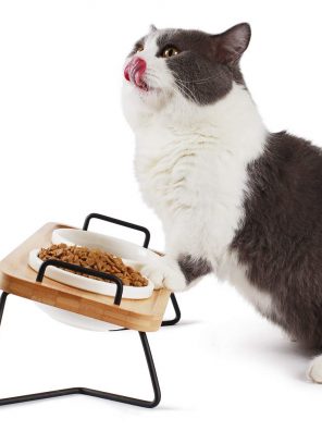 Tilted Raised Food Feeding Dishes Cat Bowls