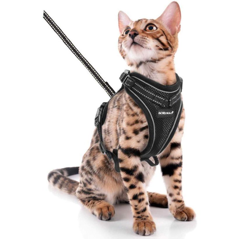 SCIROKKO Cat Harness and Leash Set