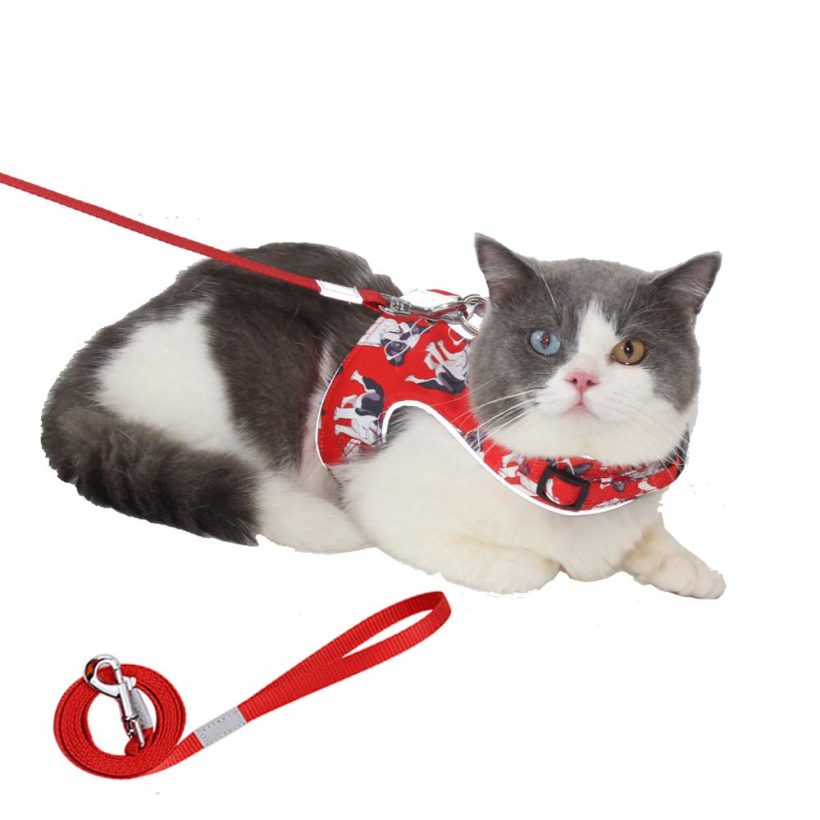 RIDVANVAN Cat Harness and Leash Sets