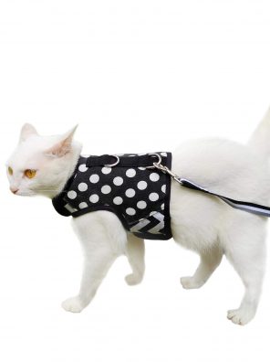 Yizhi Miaow Escape Proof Cat Harness with Leash Extra Large