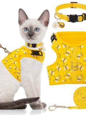 Cat Harness with Leash and Collar for Walking