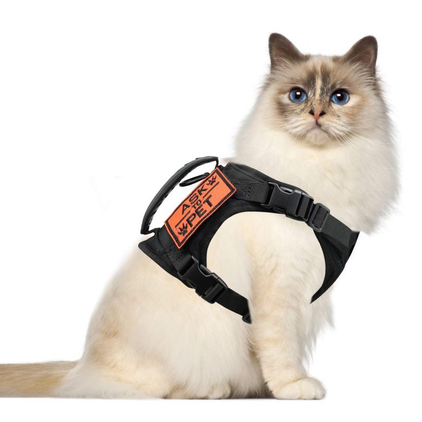 Tactical Large Cat Harness for Walking