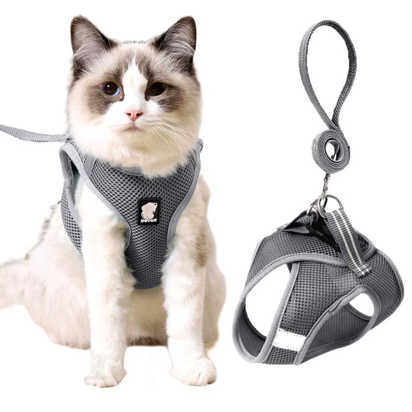 Leash Mesh Cat Leash and Harness