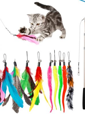 Feather Teaser Cat Toy Retractable Cat Wand Toys and 10PCS Replacement Teaser