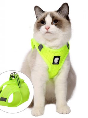 LIANZIMAU Cat Outdoor Walking Harness Set