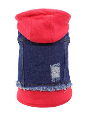 Hoodies Jeans Jacket Cool Coat for Cat