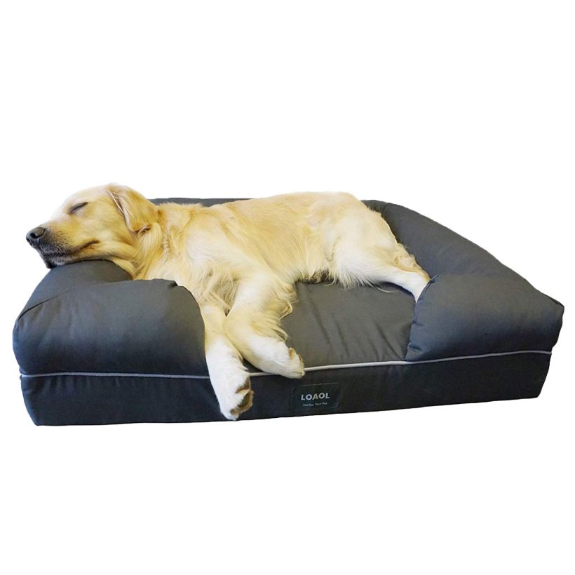 Memory Foam Cats Bed Durable Waterproof