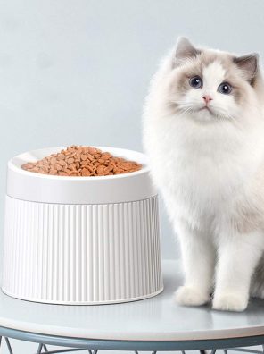 Cat Bowls Feeding stationCat Food Bowl