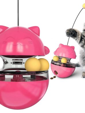 Slow Feeder Cat Educational Snack Dispenser Toy