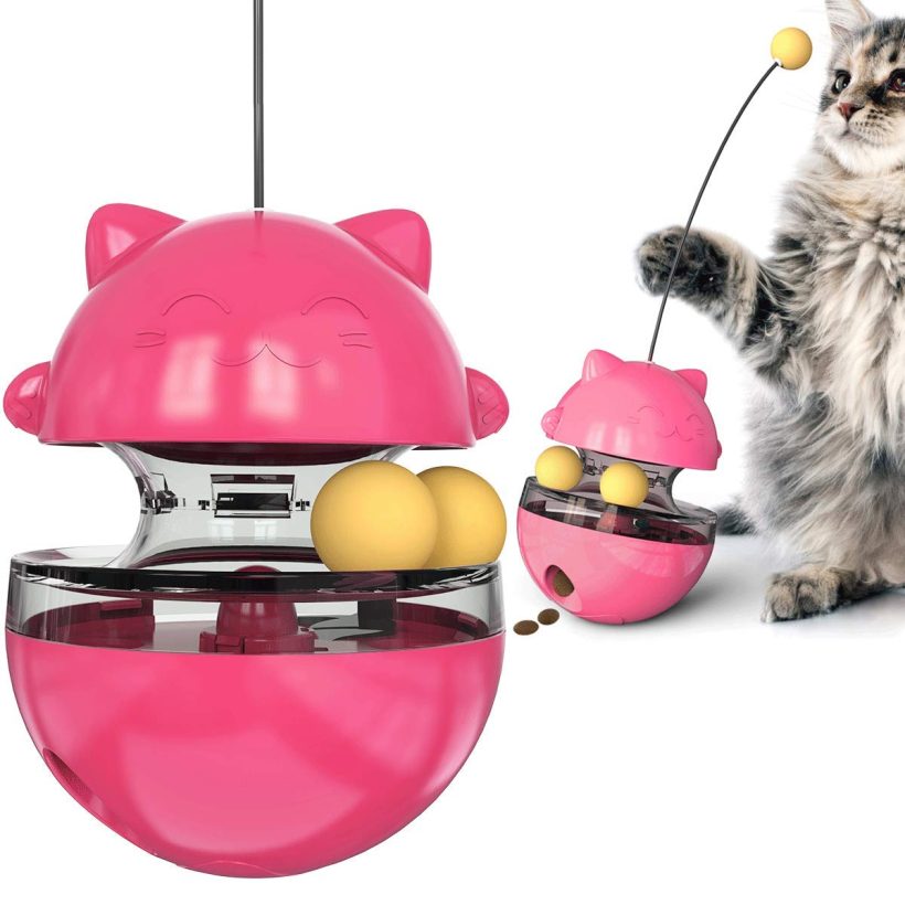 Slow Feeder Cat Educational Snack Dispenser Toy