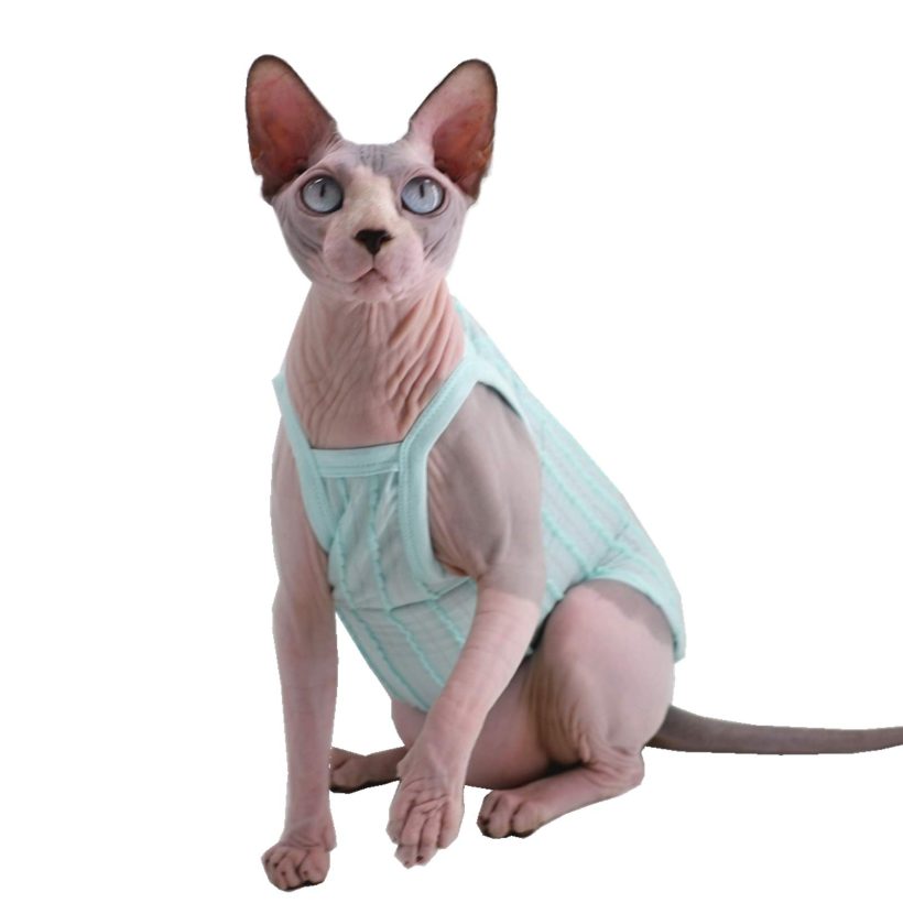 Kitipcoo Candy Color Sphynx Cat Vest Pet Clothes