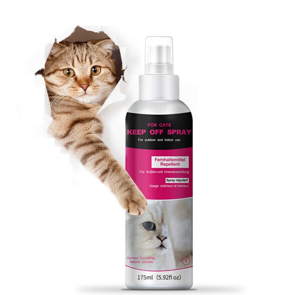 Cat repellent spray for indoor plants