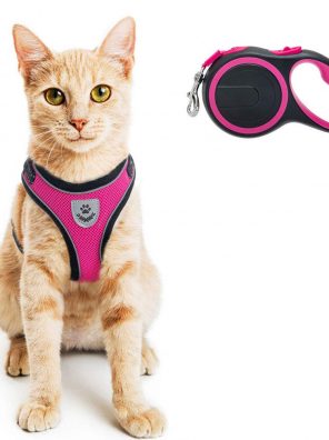 Cat Harness and Retractable Leash Set