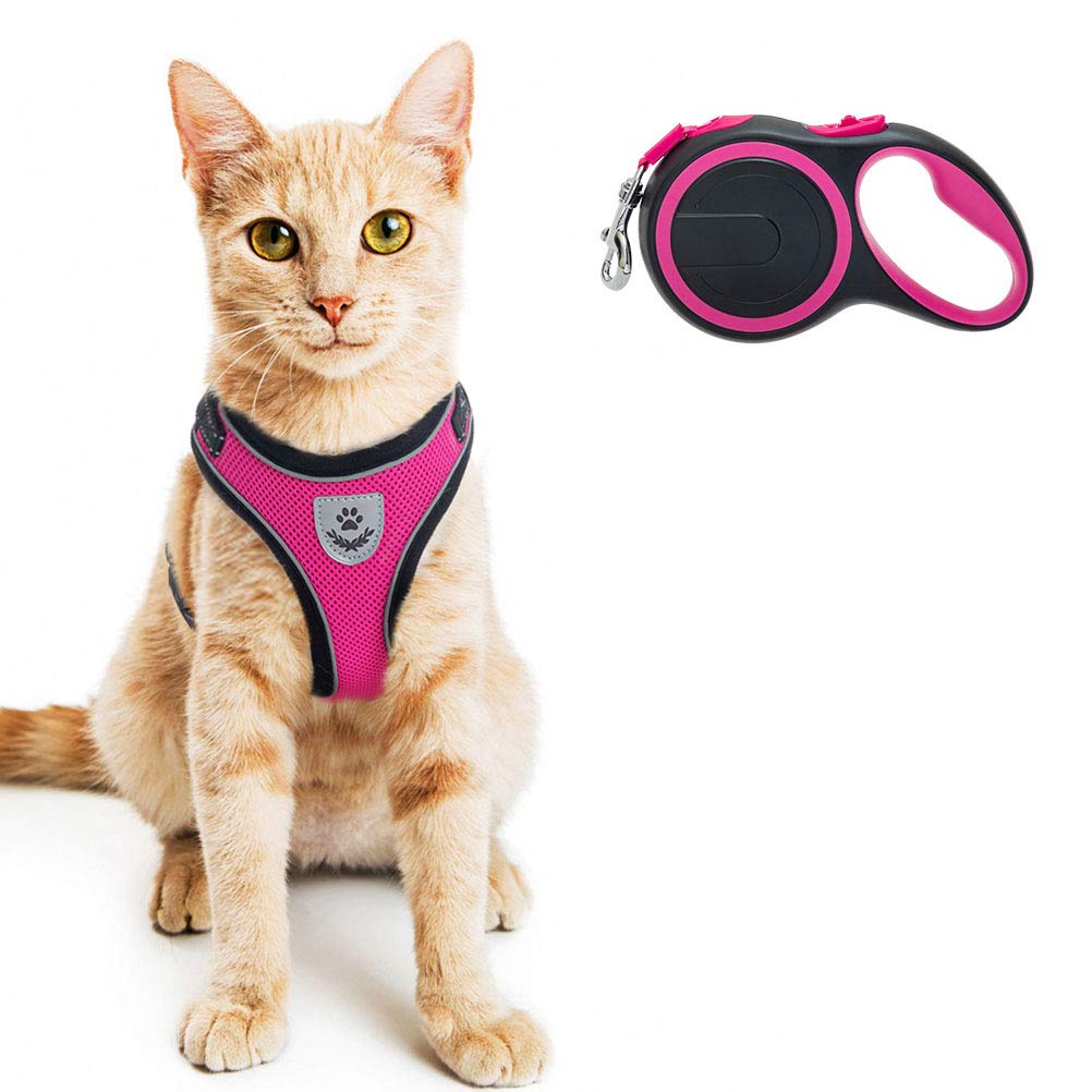 Cat Harness and Retractable Leash Set