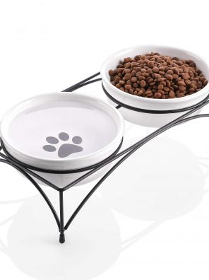 Elevated Cat Bowls with Stand for Food and Water
